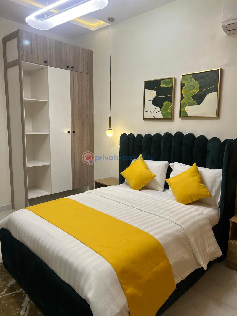 Luxury 2 bedroom apartment with gym - 4 2 bedroom Flat & Apartment Short let Ikate Lekki Lagos - 4