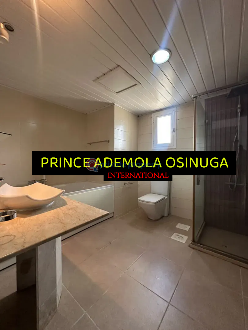 3 bedroom Flat & Apartment For Rent Old Ikoyi Lagos - 4