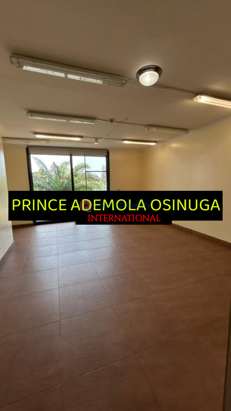3 bedroom Flat & Apartment For Rent Old Ikoyi Lagos - 9