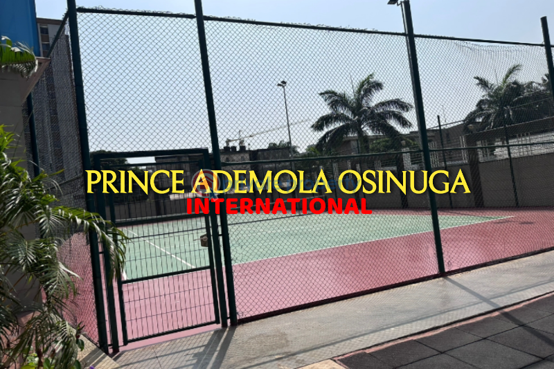 Flat & Apartment For Rent Old Ikoyi Ikoyi Lagos - 8
