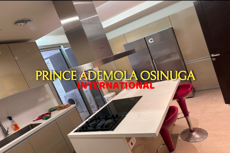 Flat & Apartment For Rent Old Ikoyi Ikoyi Lagos - 4