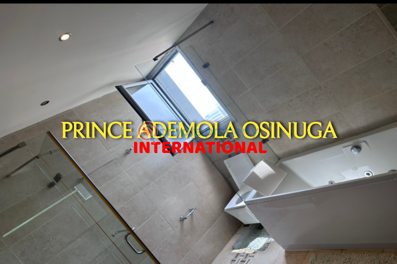 Flat & Apartment For Rent Old Ikoyi Ikoyi Lagos - 5