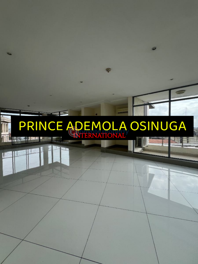 Luxury 4 bedroom penthouse apartment+bq+pool+gym+lounge etc - 2 4 bedroom Penthouse For Rent Victoria Island Lagos - 2