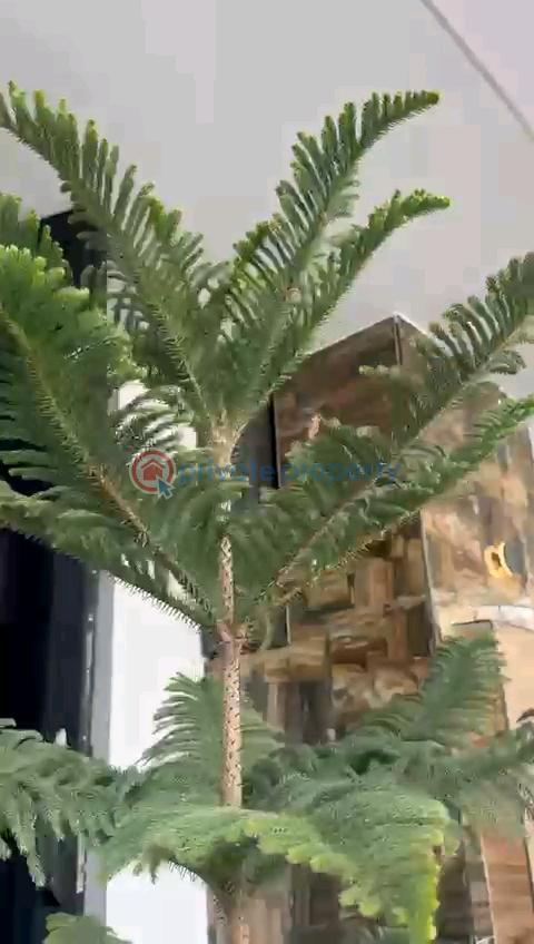 Luxury 5bedroom fully detached duplex - 1 5 bedroom Detached Duplex For Sale Chevron, Lekki Lagos Chevron Drive Lekki Lagos - 1