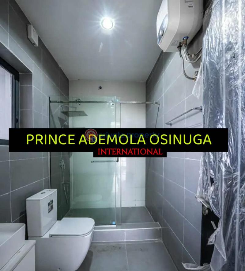 6 bedroom Detached Duplex For Rent Banana Island Ikoyi Lagos - 7