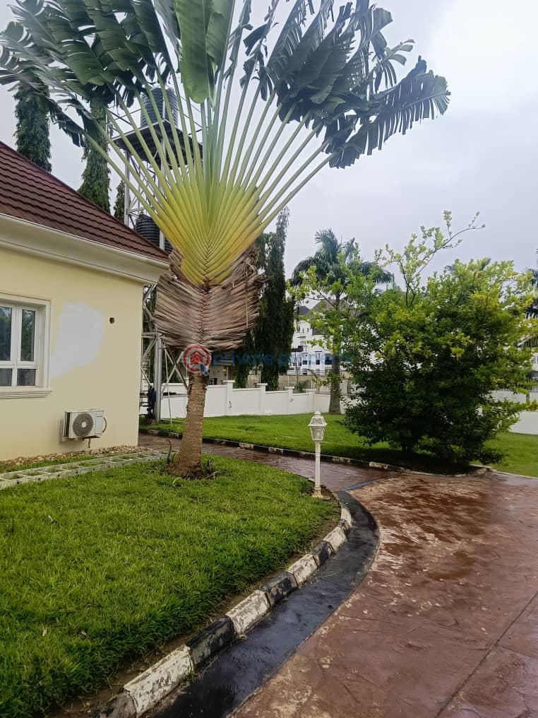 7 bedroom Detached Duplex For Rent Street Asokoro Abuja Phase 1  - 17