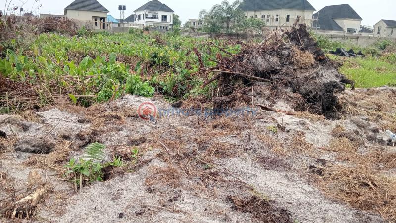 Residential Land For Sale Victoria City Palisade Estate 10 Minutes Drive From Abraham Adesanya Estate Lekki Scheme 2 Ajah Lagos - 1