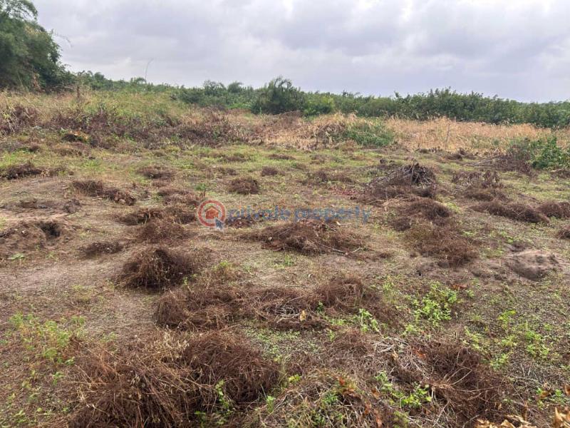 Residential Land For Sale Fountain Residence Estate Olomowewe Oshoroko Close To Dangote Refinery Ibeju-Lekki Lagos - 2