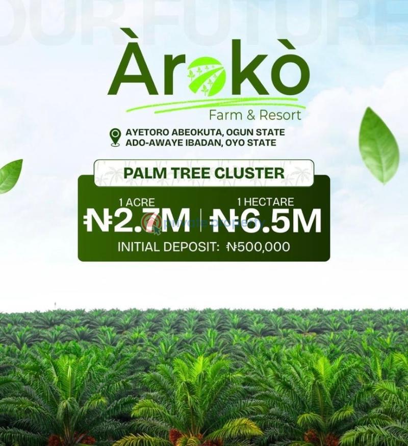 Commercial Land For Sale Aroko Farm And Resort Ibadan Oyo - 1