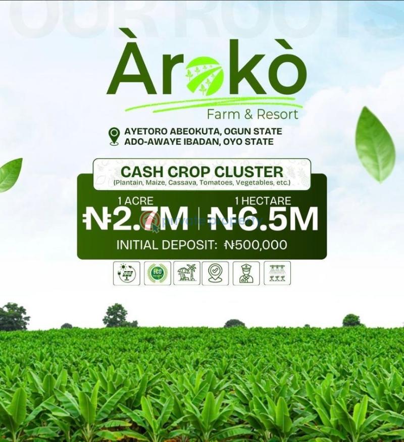 Commercial Land For Sale Aroko Farm And Resort Ibadan Oyo - 4