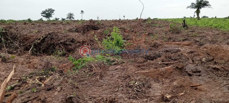 Residential Land For Sale Greenleaf Estate Along Igbodu Road Close To Epe Toll Gate Isiwo Ijebu Ode Ogun - 3