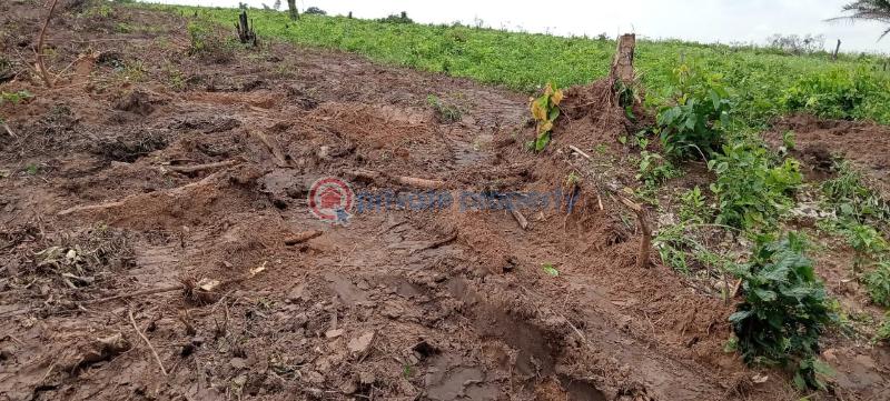 Residential Land For Sale Greenleaf Estate Along Igbodu Road Close To Epe Toll Gate Isiwo Ijebu Ode Ogun - 0