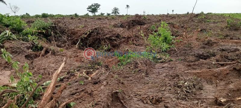 Residential Land For Sale Greenleaf Estate Along Igbodu Road Close To Epe Toll Gate Isiwo Ijebu Ode Ogun - 1