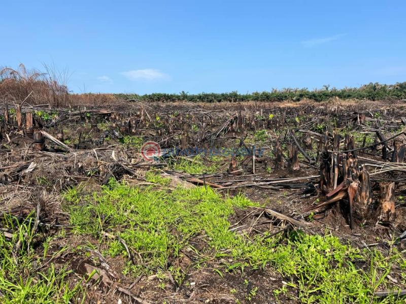 Residential Land For Sale The Island Meadows Estate Opposite Pan Atlantic University Iberekodo Ibeju-Lekki Lagos - 4