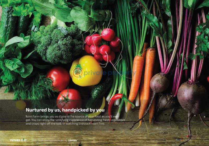 Land For Sale Epe Lagos - 33