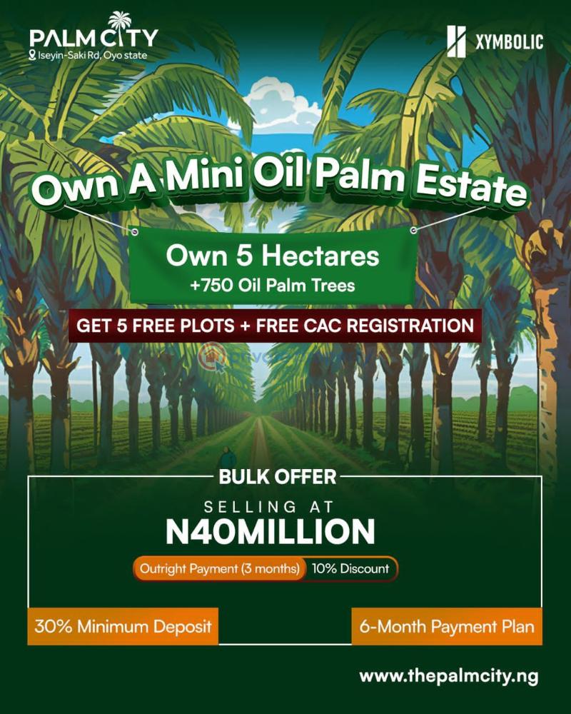 Commercial Property For Sale Palm City, Iseyin Ibadan Oyo - 2