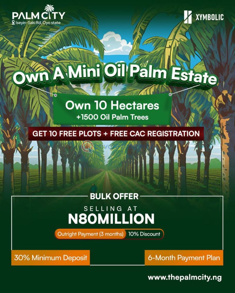 Commercial Property For Sale Palm City, Iseyin Ibadan Oyo - 3