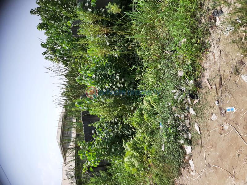 Management from owner - 2 4 bedroom Residential Land For Sale No 3 Mojeed Adekunle Street Alasia Abraham Adesanya Ajah Lagos - 2