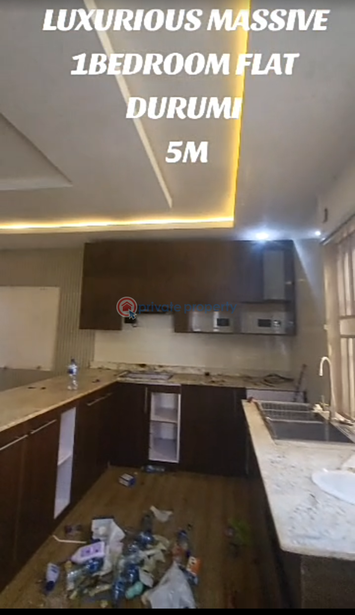 1 bedroom Flat & Apartment For Rent Durumi American International School Durumi Abuja Phase 2  - 1