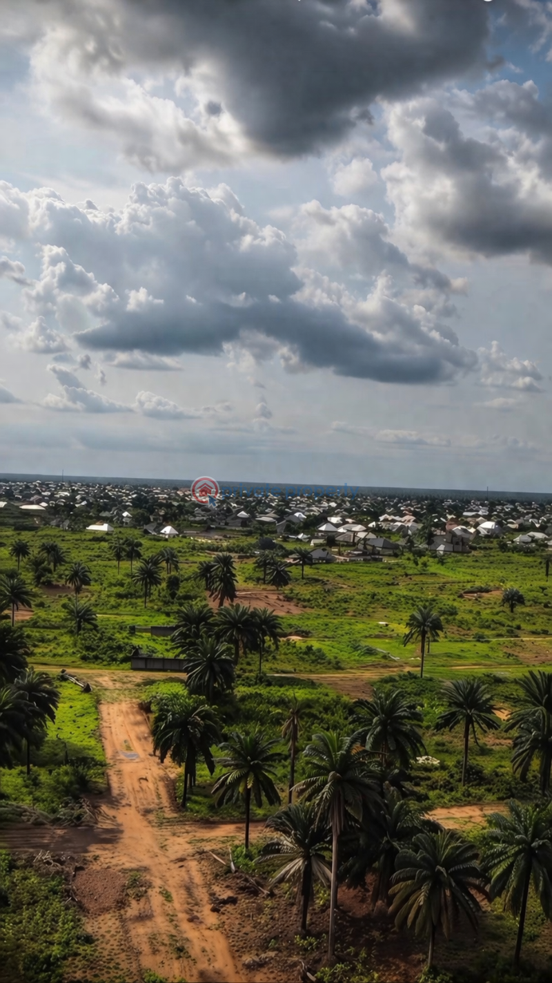 Mixed use Land For Sale Off Eneka Ring Road Eneka Port Harcourt Rivers - 8