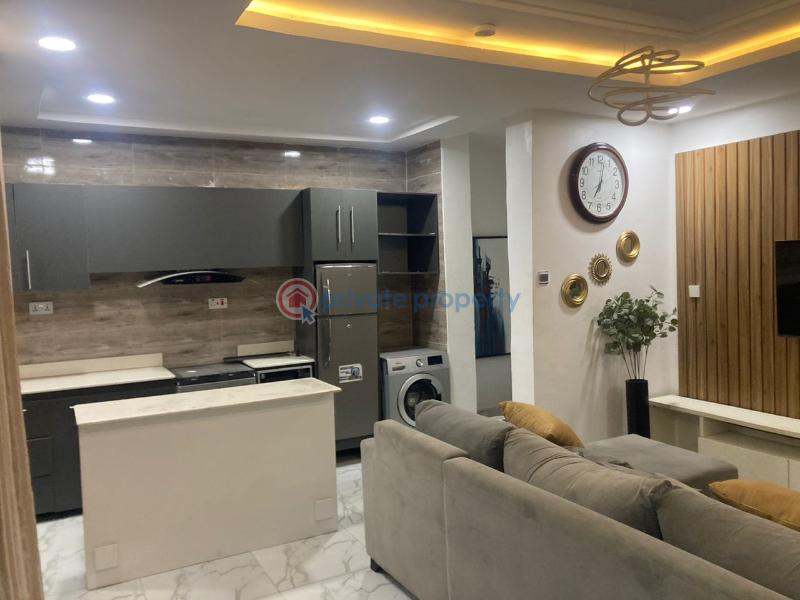 1 bedroom Semi detached Duplex For Rent Phase 1 Lekki Lagos - 1