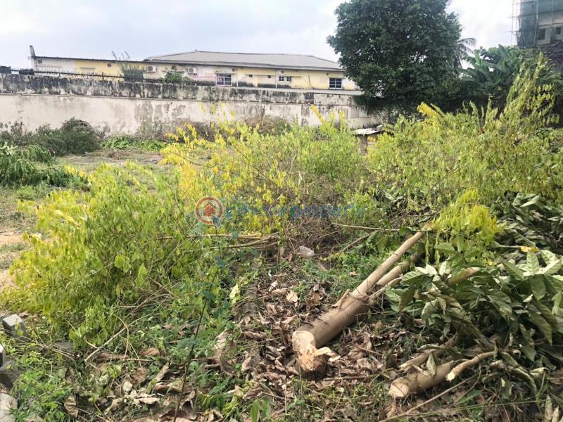 Mixed use Land For Sale Oduduwa Way Ikeja GRA Lagos - 5