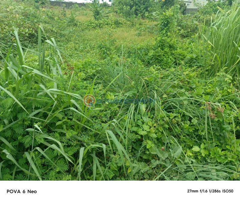 Mixed use Land For Sale Lekki Scheme 2 Abraham Adesanya Ajah Lagos