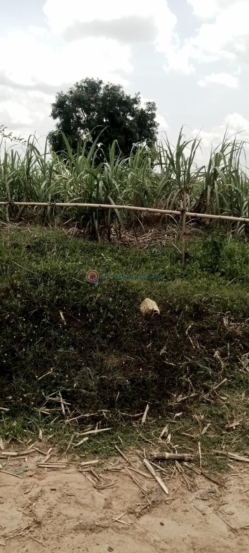 Mixed use Land For Sale Olagutan Papalanto Ewekoro Ogun