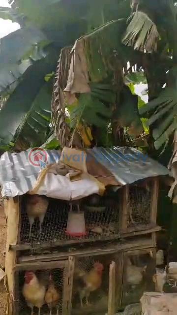 Bungalow For Sale Meiran Lagos Abule Egba Lagos - 16