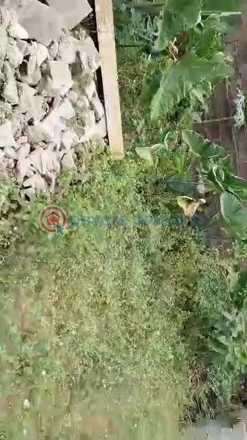 Residential Land For Sale Off Temple, Olaniyi Abule Egba Lagos Abule Egba Lagos - 3