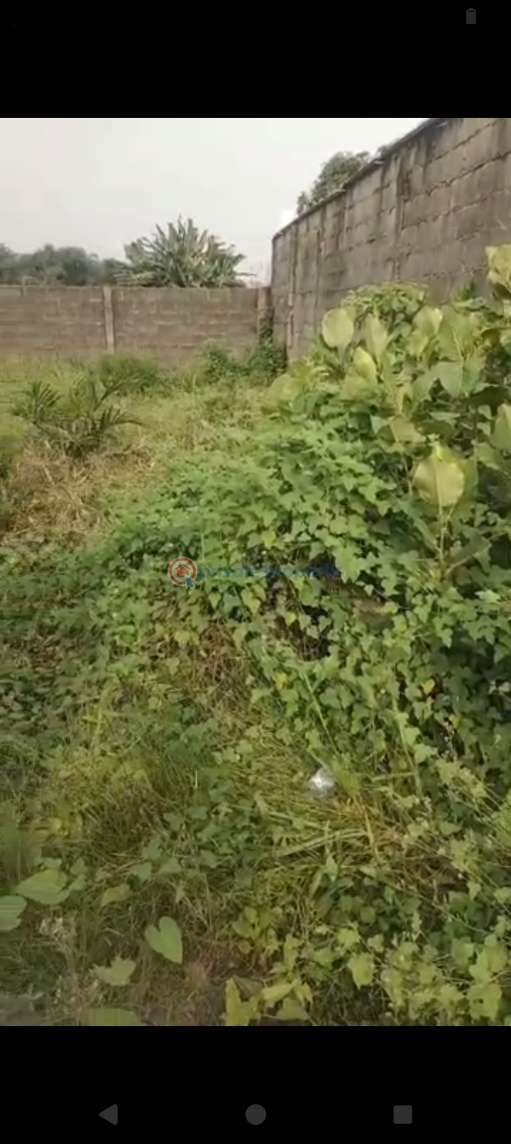 Residential Land For Sale Cele Bus Stop,alagbole Yakoyo/Alagbole Ojodu Lagos - 6