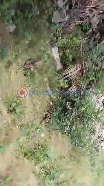 Residential Land For Sale Off Temple, Olaniyi Abule Egba Lagos Abule Egba Lagos - 1