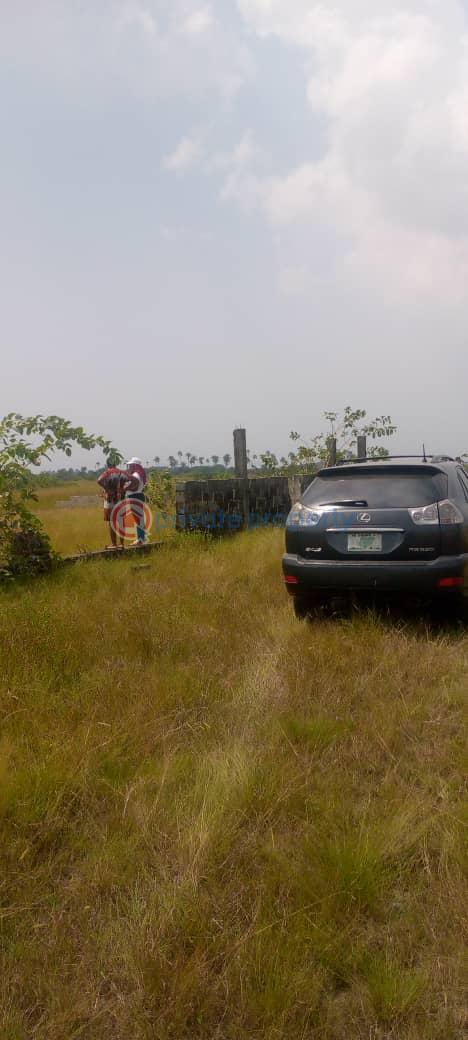 Most affordable c of o land in ibeju lekki - 1 Residential Land For Sale Palm Royale City Selling On Promo, Located At Origorigo Ibeju-Lekki Lagos - 1