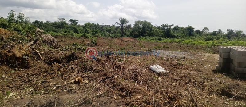 Land For Sale Silverpark Estate Phase 5 Sangotedo Sangotedo Ajah Lagos - 7