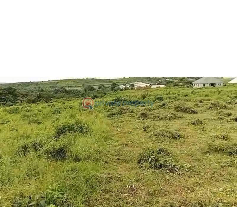 Mixed use Land For Sale Onicha Ugbo Asaba Delta - 2