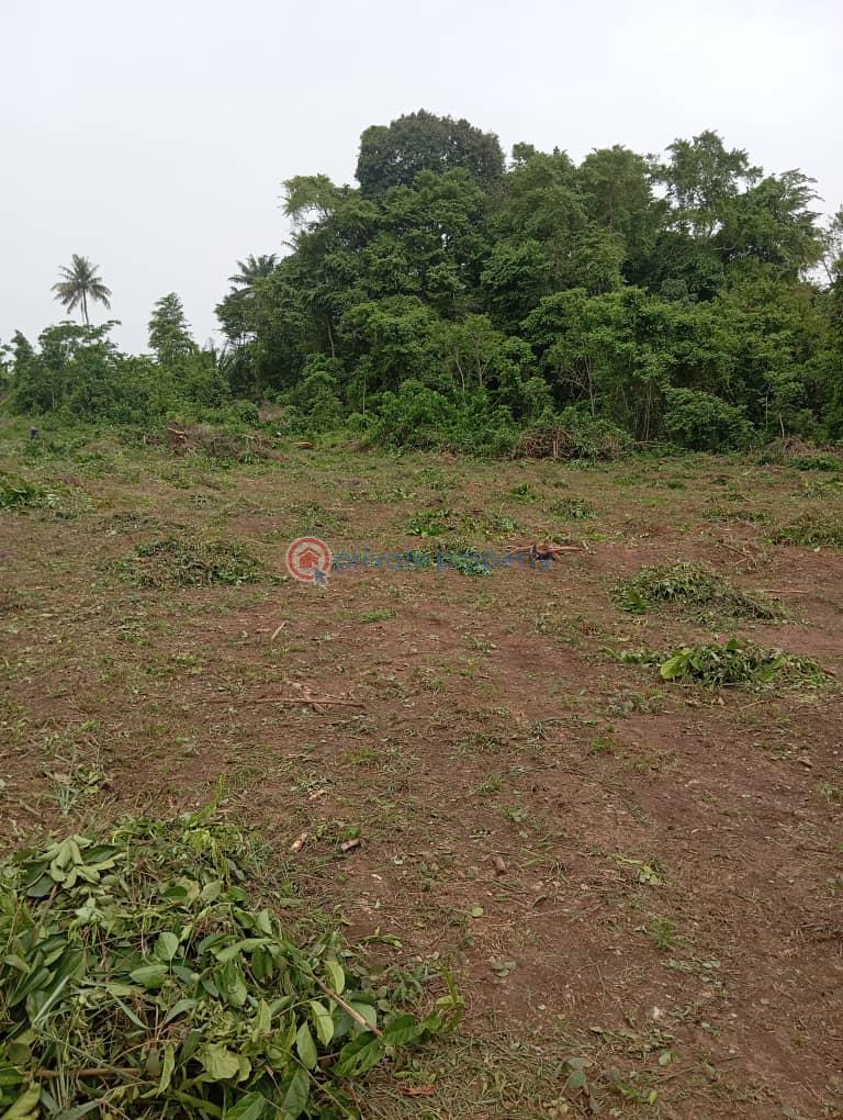 Mixed use Land For Sale Prime Residence Mogolowu Ketu Epe Lagos - 3