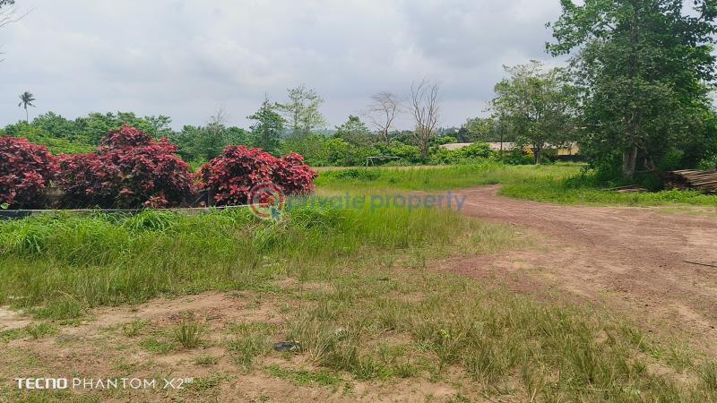 Land For Sale David's Grace Resorts Extension Beside Grace Polytechnic Epe Lagos - 3