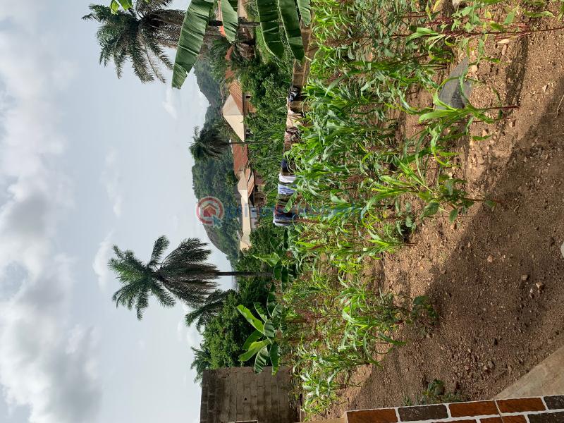 3 bedroom Bungalow For Sale No 8, Omiolori Zone 2 Idolofin Area Oke Ila. Ado-Ekiti  - 4