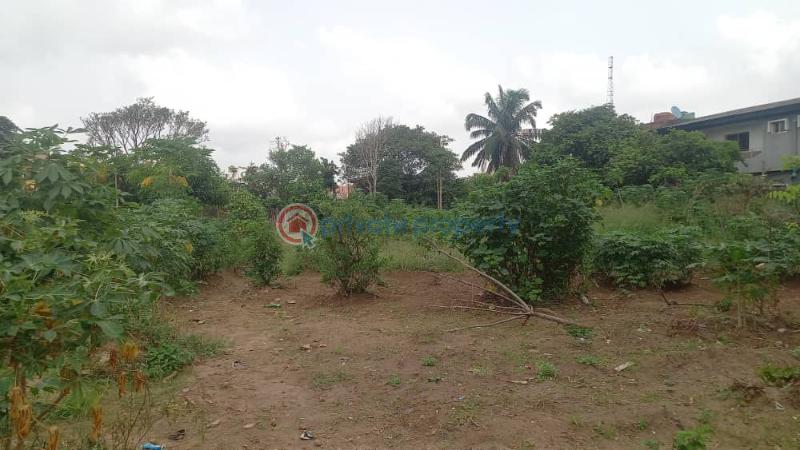 Mixed use Land For Sale Unity Estate Egbeda Egbe/Idimu Lagos - 0