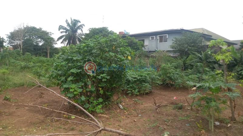 Mixed use Land For Sale Unity Estate Egbeda Egbe/Idimu Lagos - 1