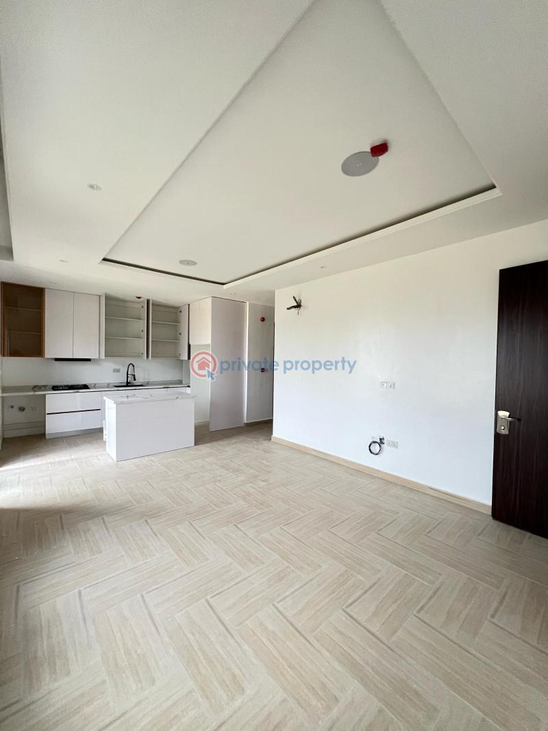 Newly built 2 bedroom apartment with an elevator and swimming pool suitable for investment - 1 2 bedroom Flat & Apartment For Sale Ikate Lekki Lagos - 1