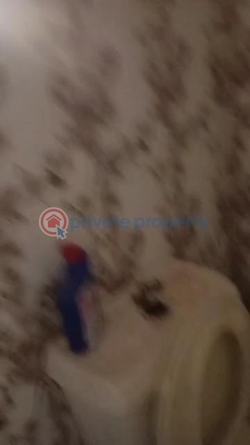 Flat & Apartment For Rent Funsho Owoyemi, Off Olanuyi Abule Egba Abule Egba Lagos - 13