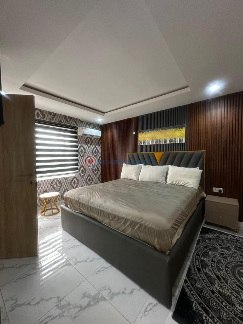 3 bedroom Shared Apartment For Rent Ikoyi Lagos - 20