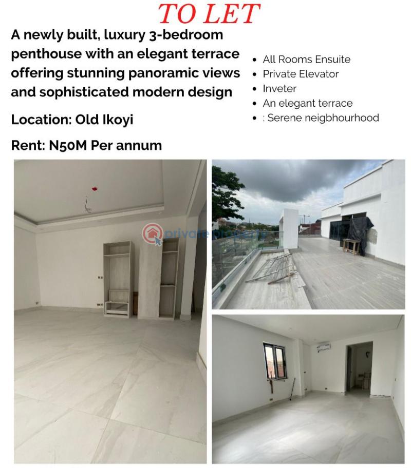 Newly built, luxury 3 bedroom penthouse (elevator access) with panorama terrace view - 1 3 bedroom Shared Apartment For Rent Old Ikoyi Lagos - 1