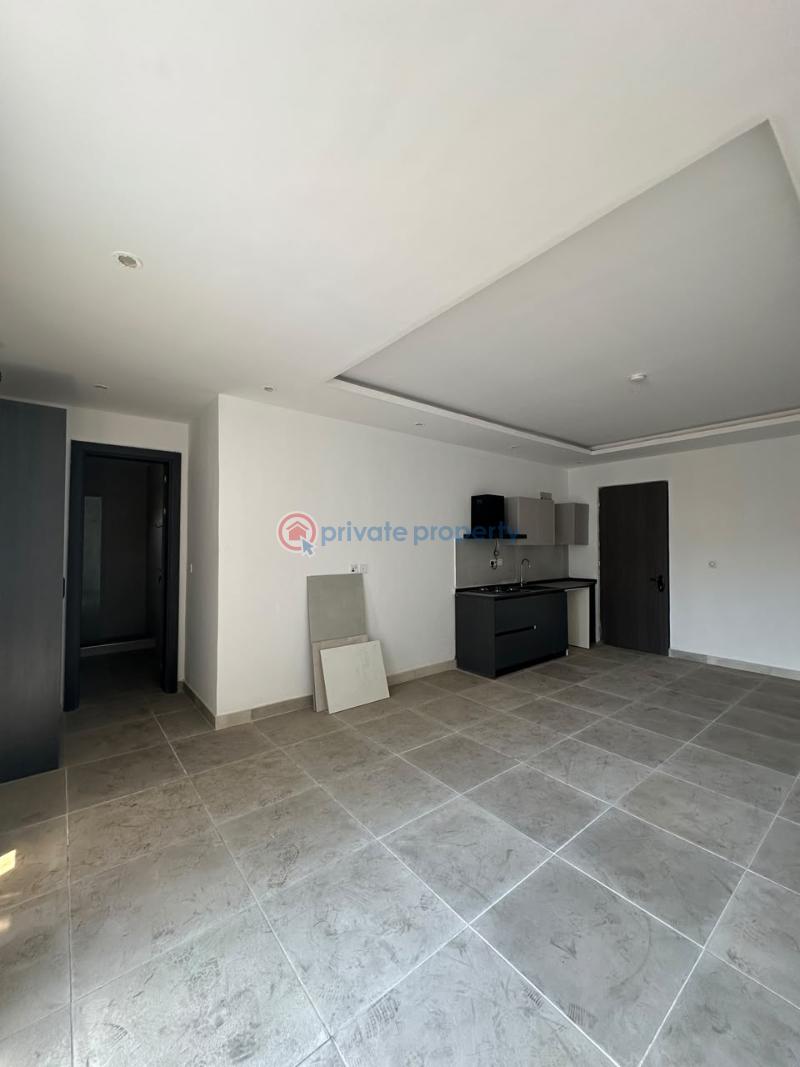 1 bedroom Studio Apartment For Rent Oniru Victoria Island Lagos - 3