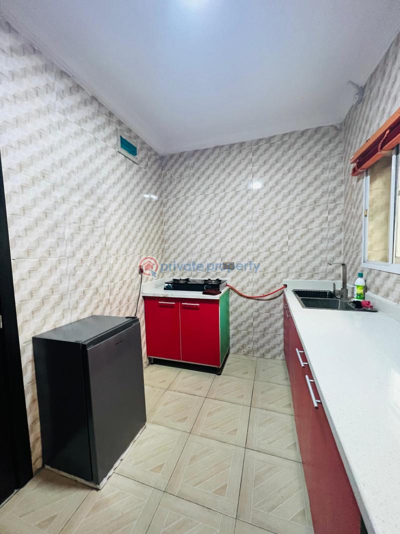 Newly furnished 2 bedroom serviced  penthouse  apartment - 10 2 bedroom Flat & Apartment For Rent Ologolo Lekki Lagos - 10