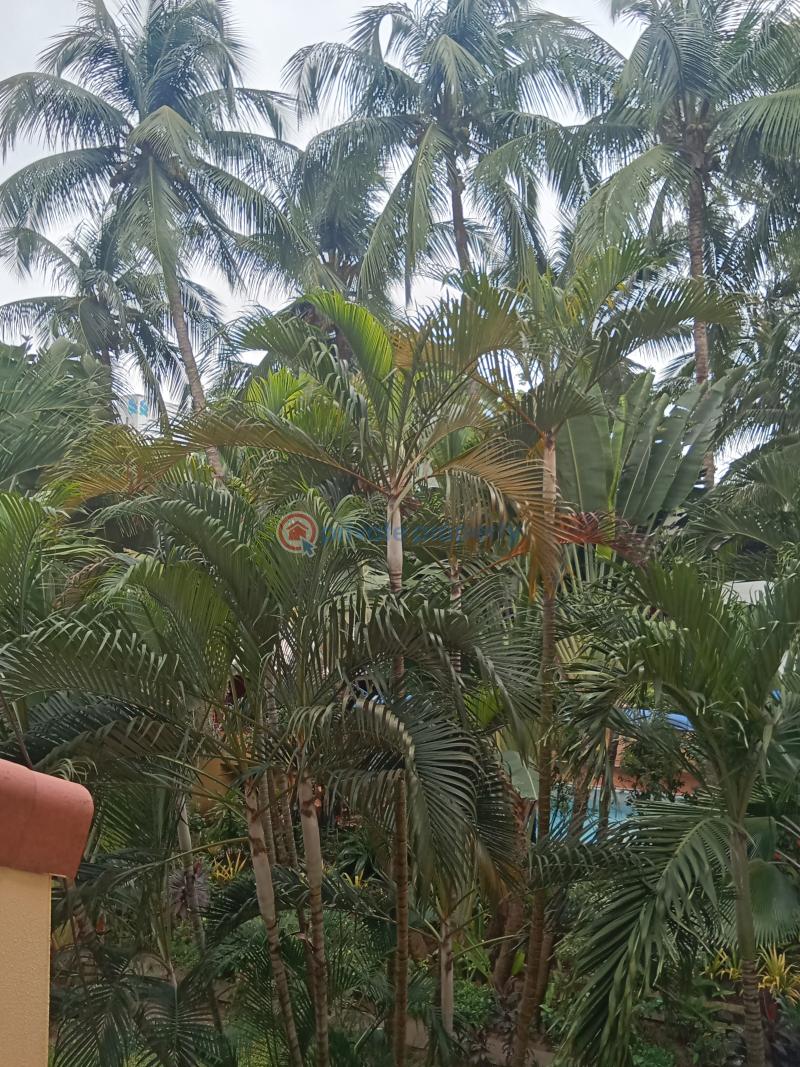 3 bedroom Block Of Flats For Rent Off Idejo Street Victoria Island Saka Tinubu Victoria Island Lagos - 2