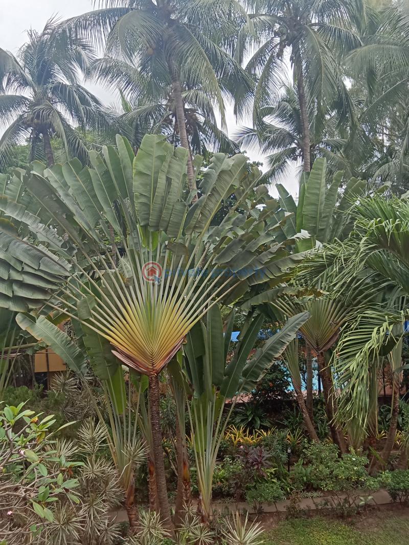 3 bedroom Block Of Flats For Rent Off Idejo Street Victoria Island Saka Tinubu Victoria Island Lagos - 4