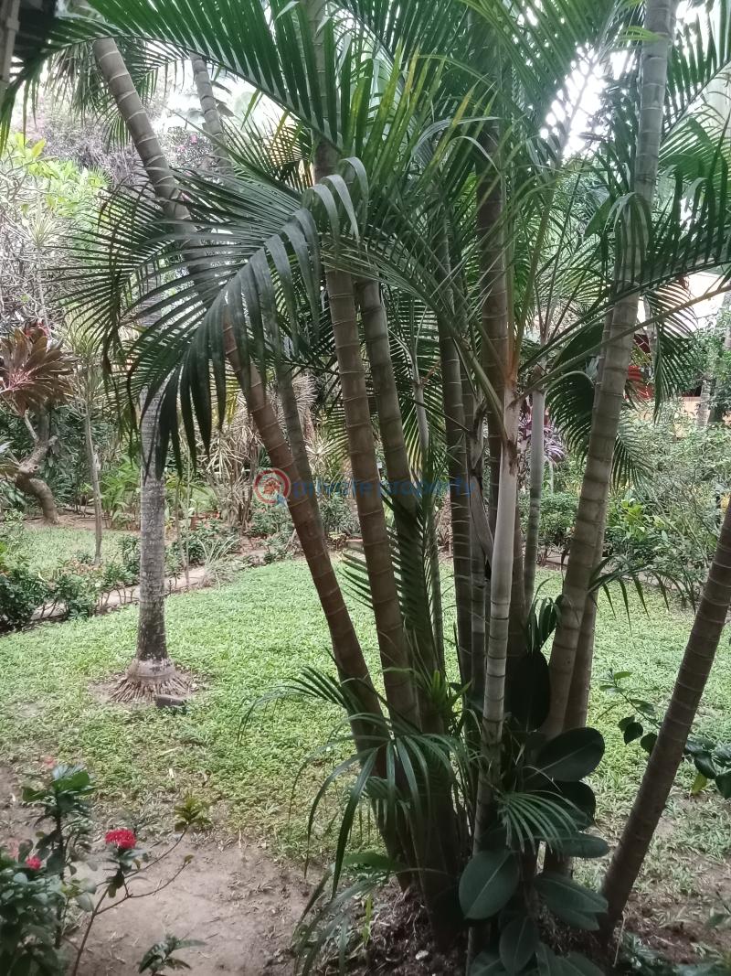 3 bedroom Block Of Flats For Rent Off Idejo Street Victoria Island Saka Tinubu Victoria Island Lagos - 0