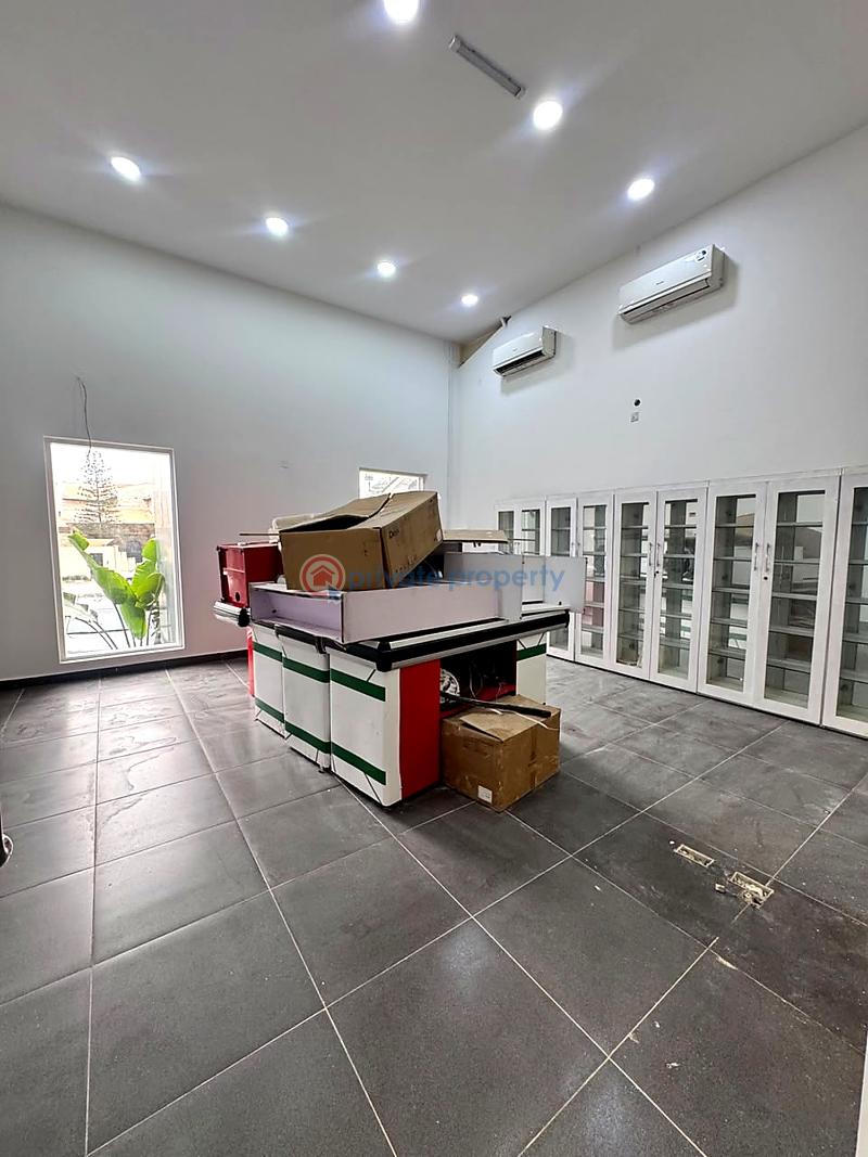 Commercial Property For Rent Ikoyi Lagos - 1